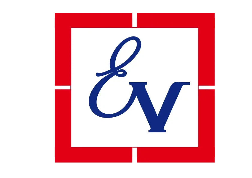 imgi_147_evision.png.bv